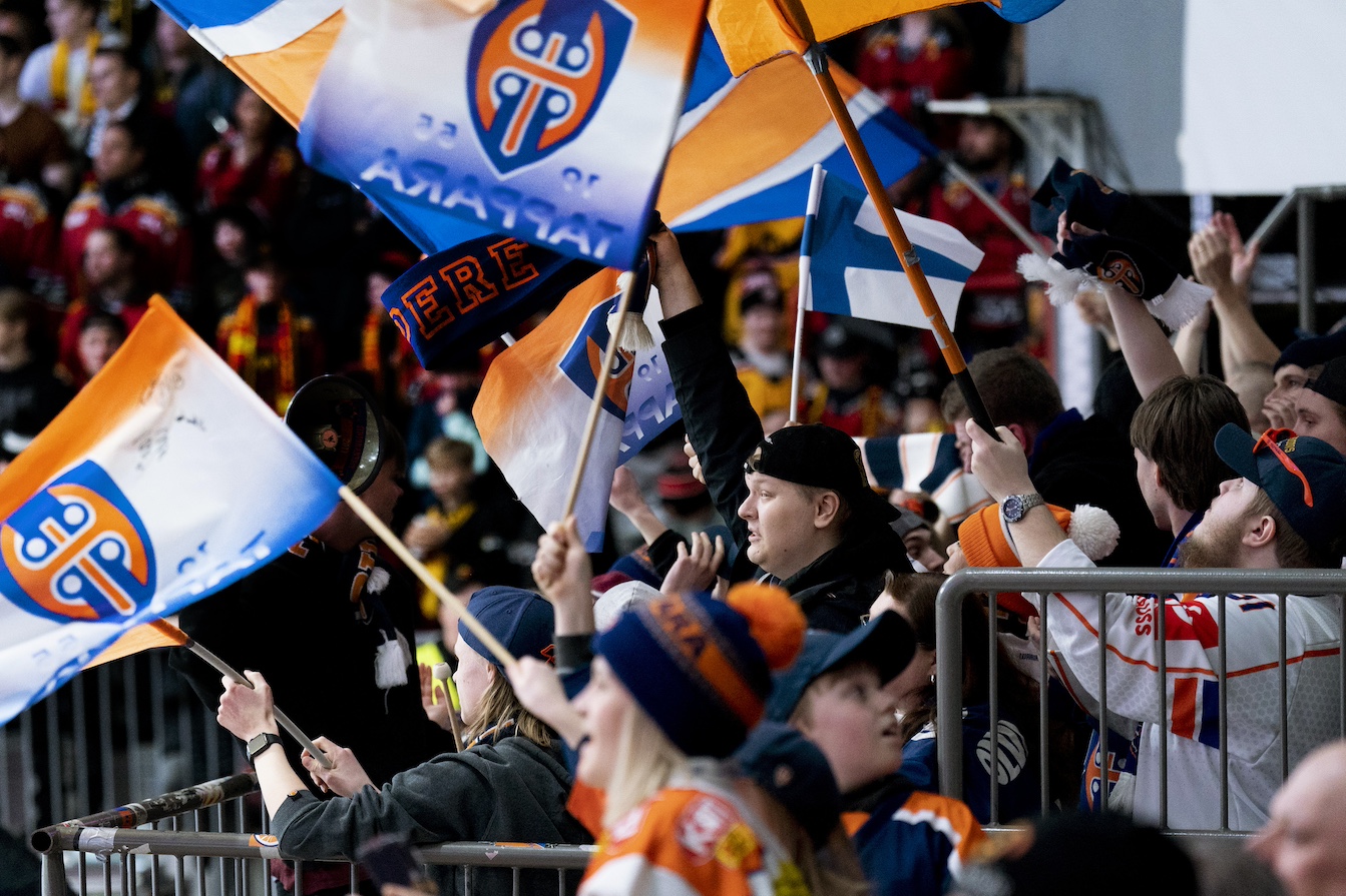 Fans at a hockey game